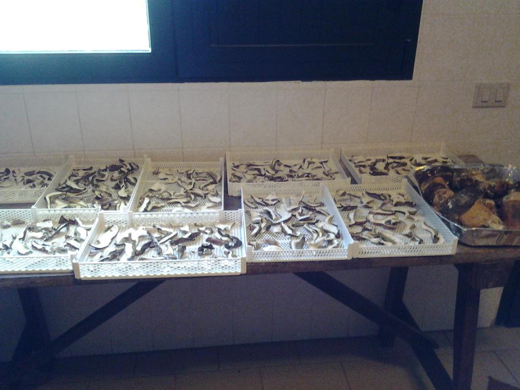 Seùlo Agriturismo Ticci מראה חיצוני תמונה