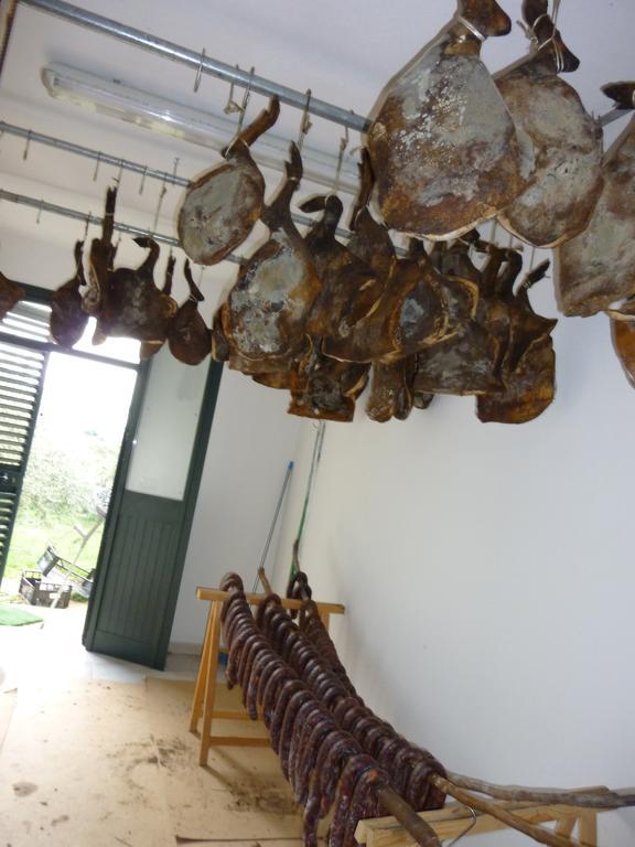 Seùlo Agriturismo Ticci מראה חיצוני תמונה