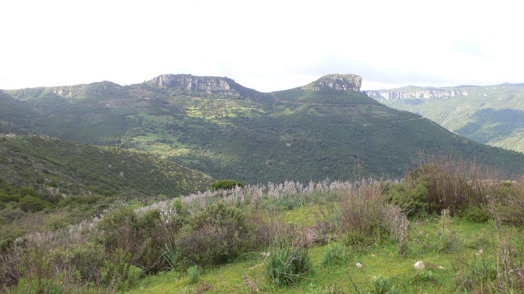 Seùlo Agriturismo Ticci מראה חיצוני תמונה