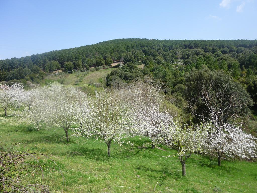 Seùlo Agriturismo Ticci מראה חיצוני תמונה