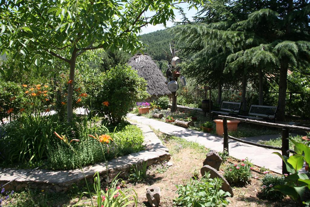 Seùlo Agriturismo Ticci מראה חיצוני תמונה