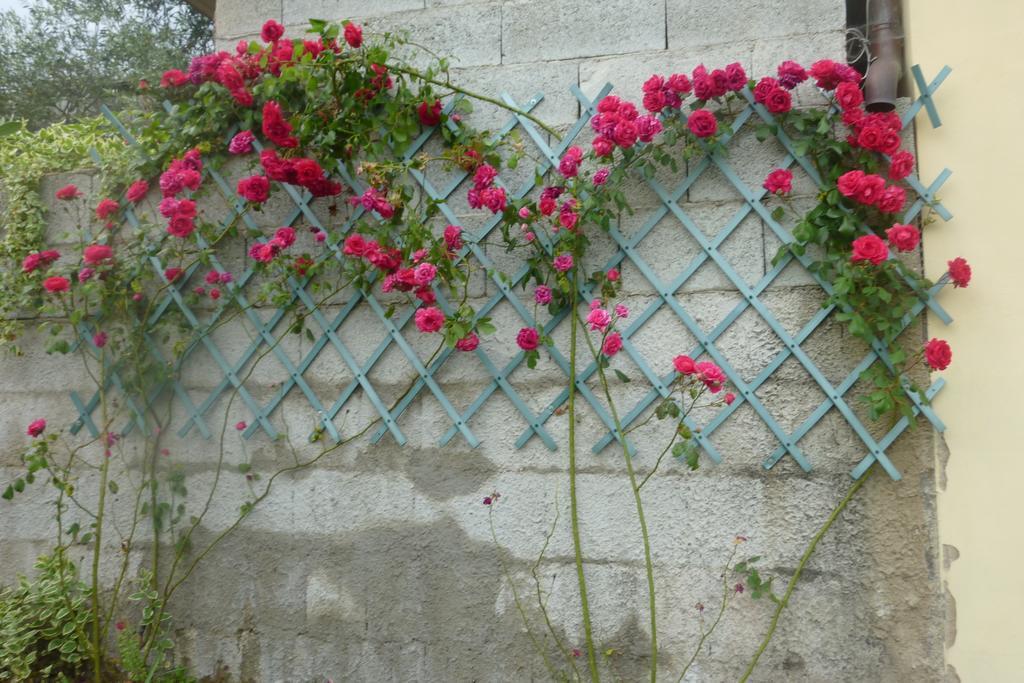 Seùlo Agriturismo Ticci מראה חיצוני תמונה