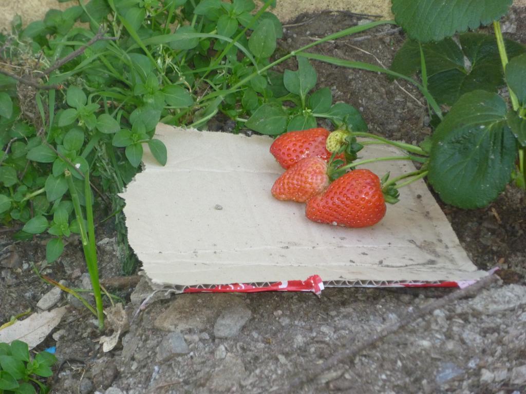 Seùlo Agriturismo Ticci מראה חיצוני תמונה