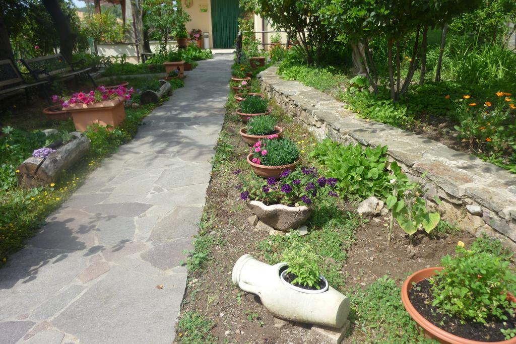 Seùlo Agriturismo Ticci מראה חיצוני תמונה